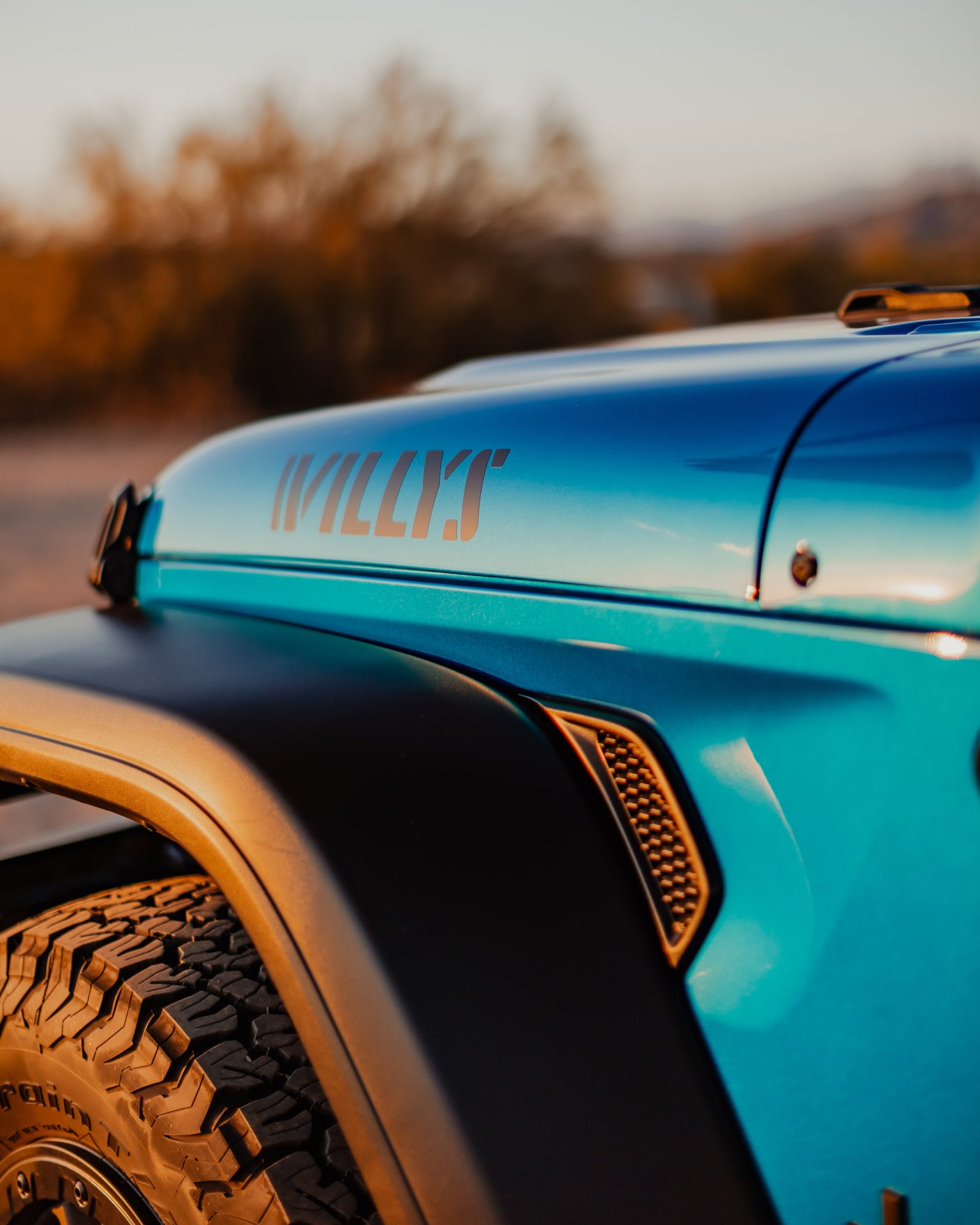 Bright blue Willys Jeep ready for adventure, perfect for exploring alongside your RV rental.