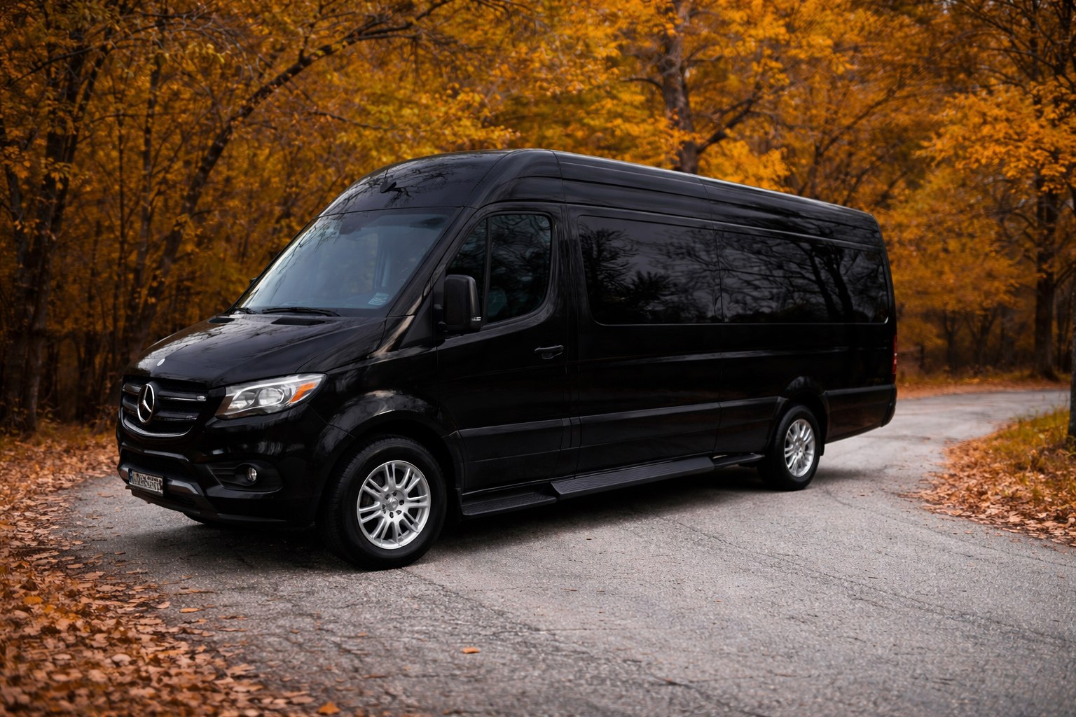 A black Mercedes-Benz Sprinter van parked on an autumn road with golden leaves