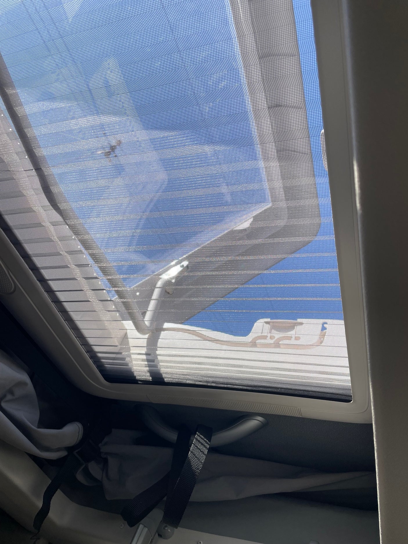RV rental view: Sunlight streams through the roof vent screen, revealing blue sky and a small insect.