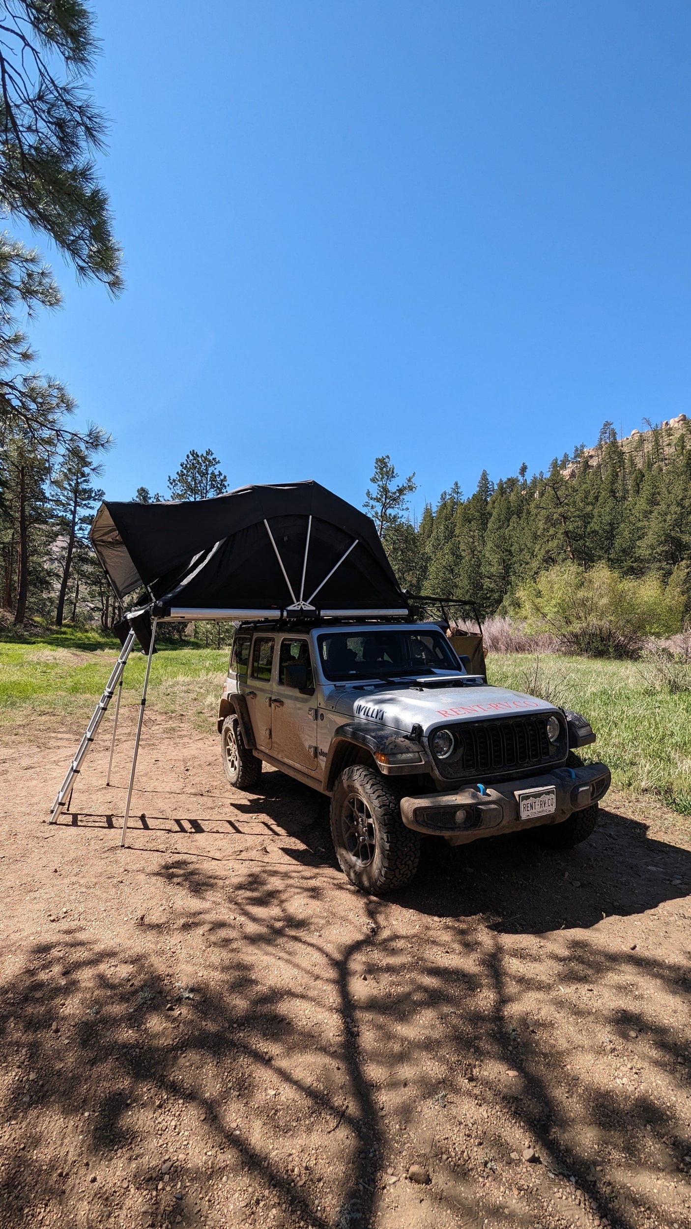 A silver RV rental Jeep with a rooftop tent deployed in a sunny, forested area for wilderness camping.
