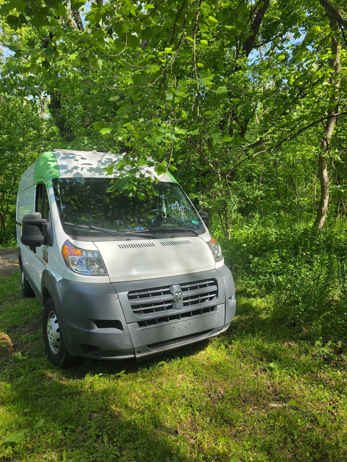 White Ram ProMaster van with a green roof stripe, nestled in a sun-dappled forest. Ideal for your next rv rental adventure!