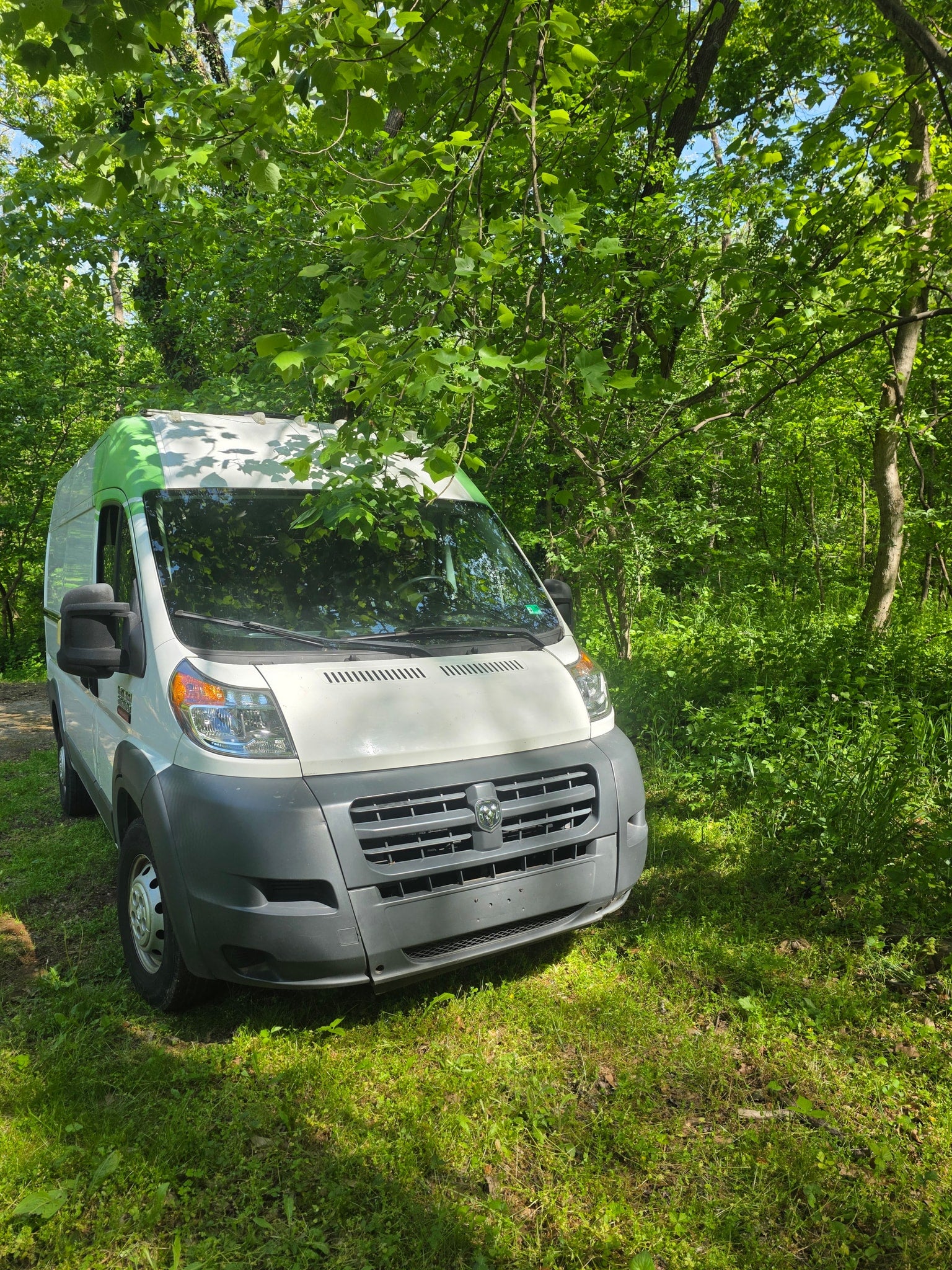 White Ram ProMaster van with a green roof stripe, nestled in a sun-dappled forest. Ideal for your next rv rental adventure!