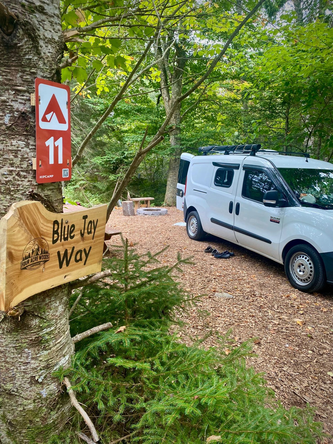 An RV rental white van is parked at Hipcamp site 11, 'Blue Jay Way.' A woodsy campsite with a fire pit and wood chips.