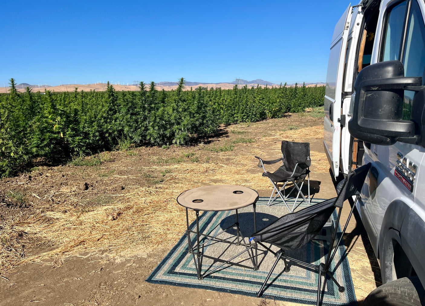 Relaxing by an RV rental, with camping chairs & table beside a field of lush cannabis plants and distant wind farm under clear skies.