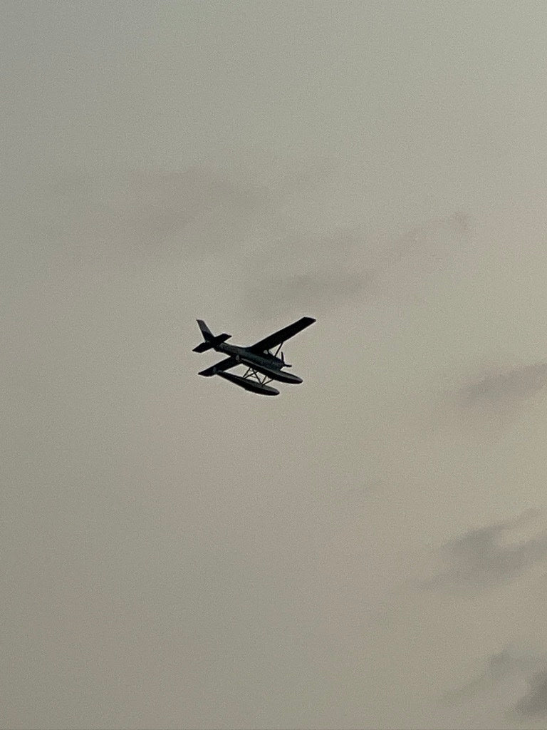 A dark seaplane soars under a grey sky. Like an RV rental, it represents freedom and unique travel. — photo 4
