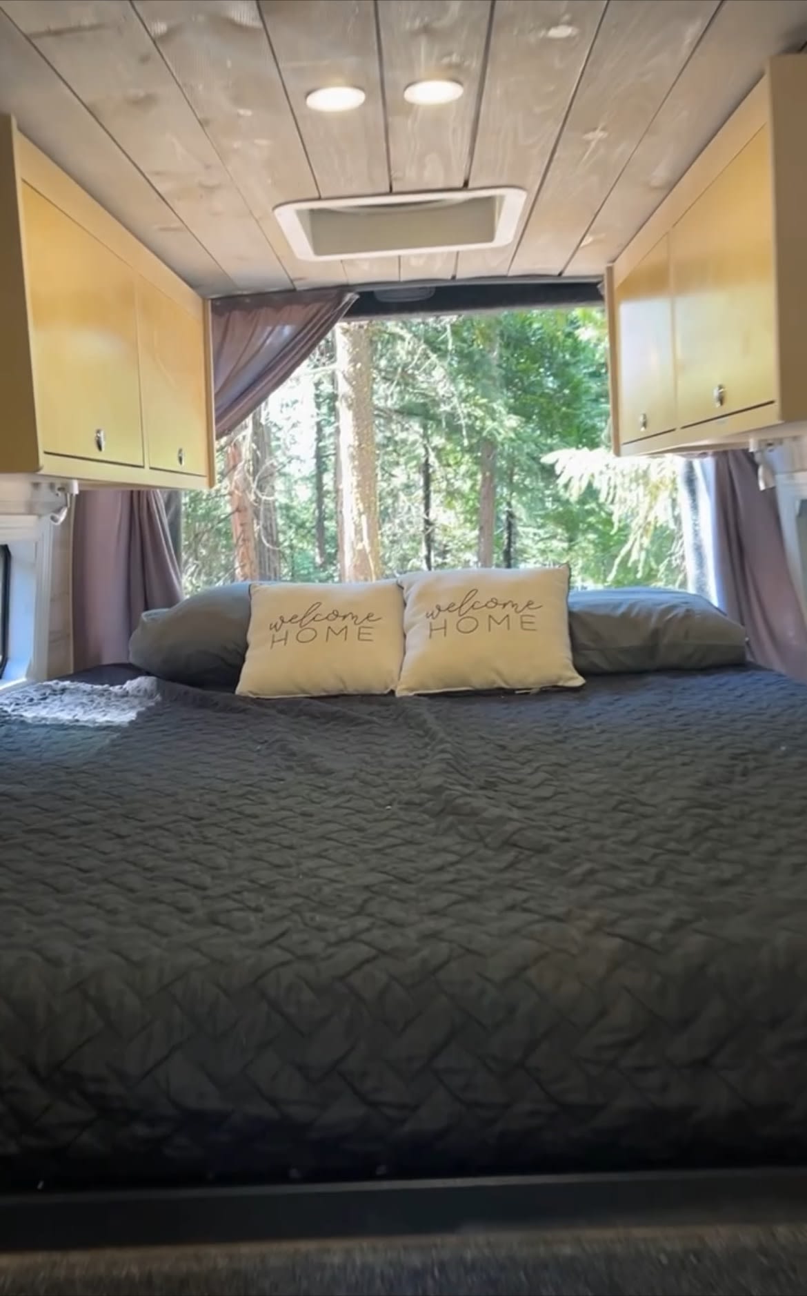 backed by majestic mountains under a blue sky.|This **rv rental** shows a clever **van conversion** with a laptop desk between the front seats — photo 2