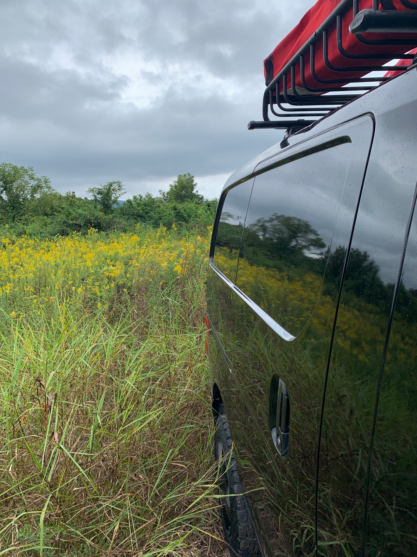 Adventure in bloom! A black camper van (rv rental) with a roof rack, parked in a field of goldenrod under a gray sky.