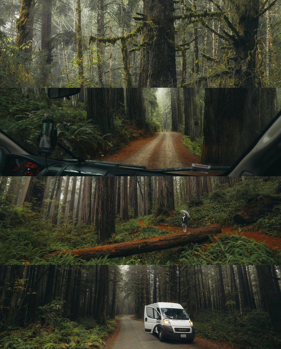 Immerse in misty redwood forests with an RV rental. Photos show dense trees, winding roads, and the van exploring nature.