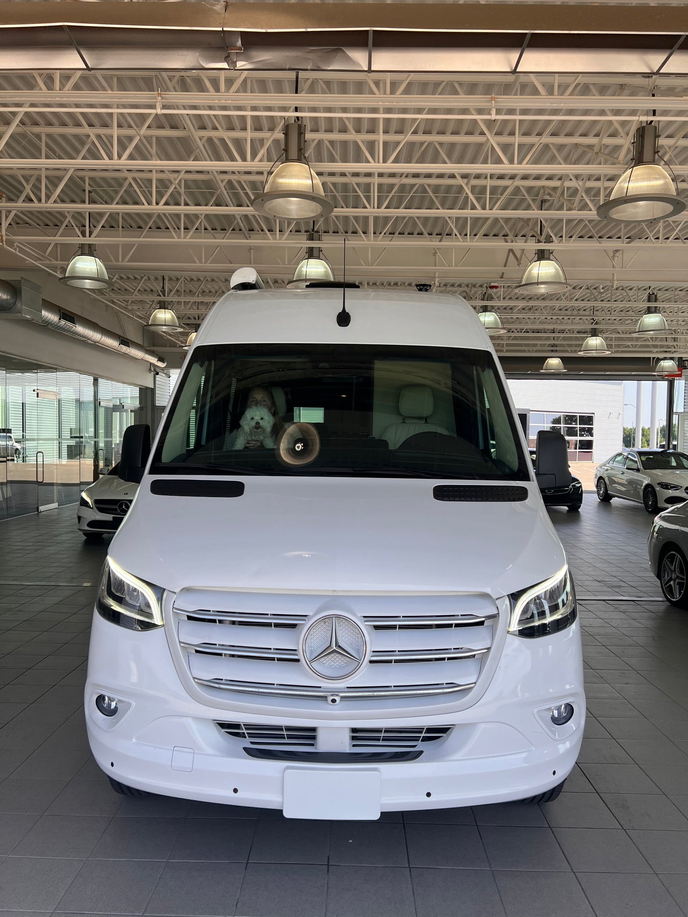 White Mercedes-Benz Sprinter van, ideal for rv rental, with a person and dog inside at a dealership.
