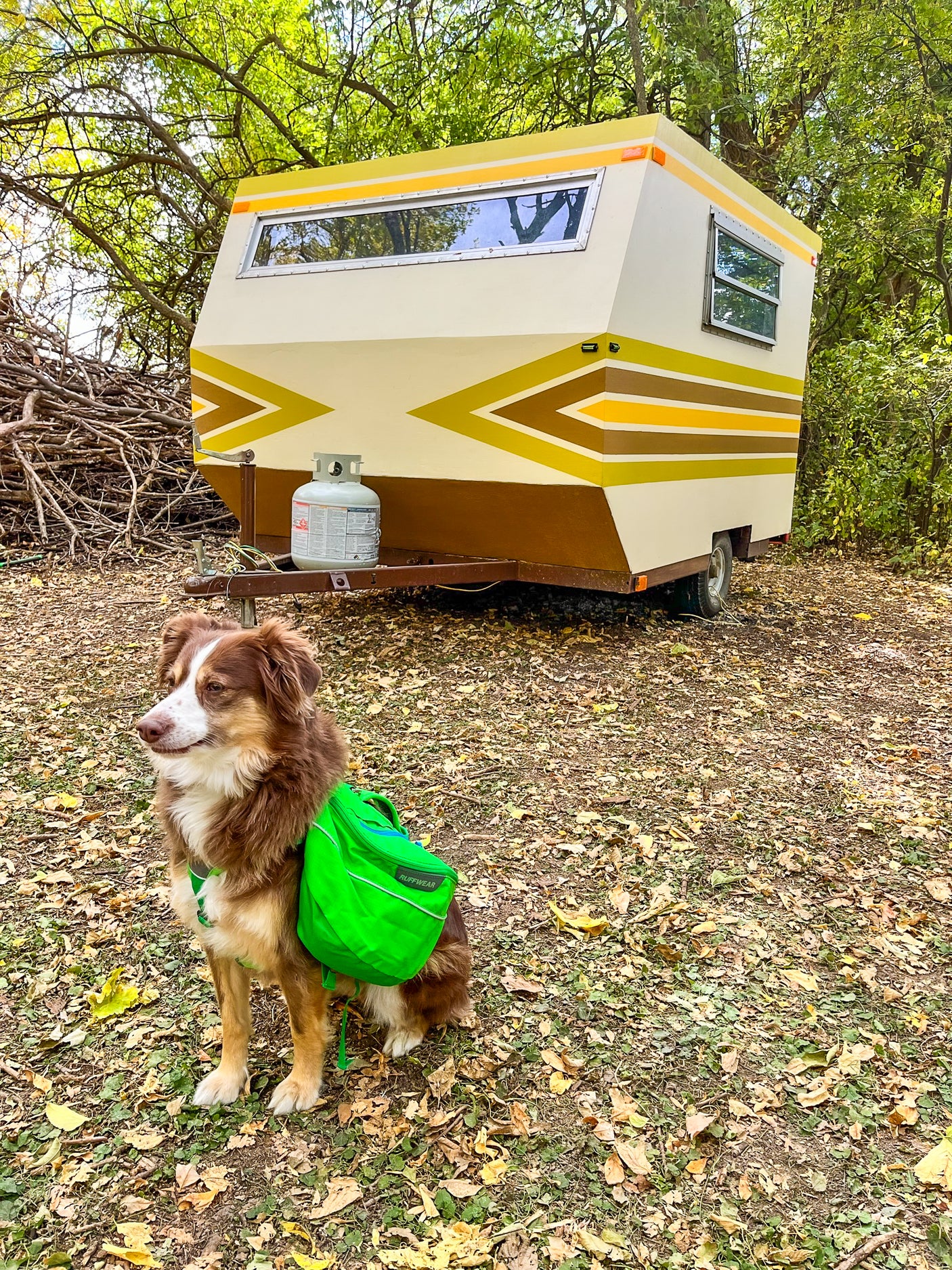 A cheerful dog in a bright green Ruffwear pack sits by a unique retro camper trailer, perfect for an RV rental getaway.