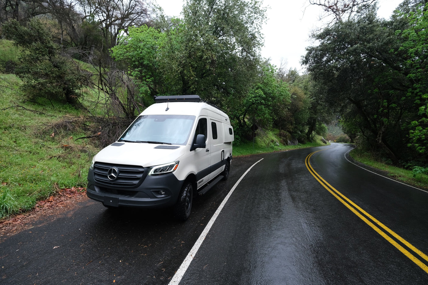 and a dry riverbed.|A deer stands wet in a rainy meadow with pink flowers. See nature up close on your next RV rental adventure!|White Mercedes-Benz Sprinter camper van rv rental parked on a wet
