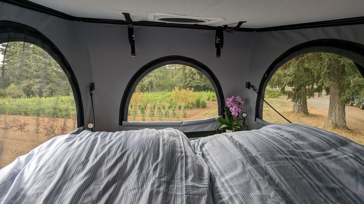 Cozy RV rental interior with striped bed, orchid plant, and nature views through arched windows. Perfect for camping!