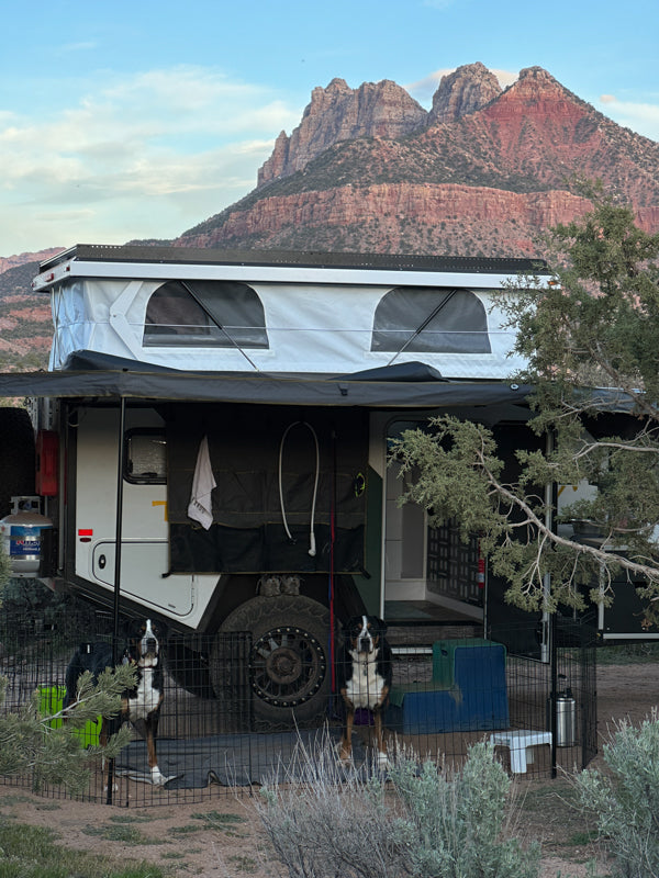 An off-road pop-top rv rental camper set up at a scenic campsite with two dogs and majestic mountains.