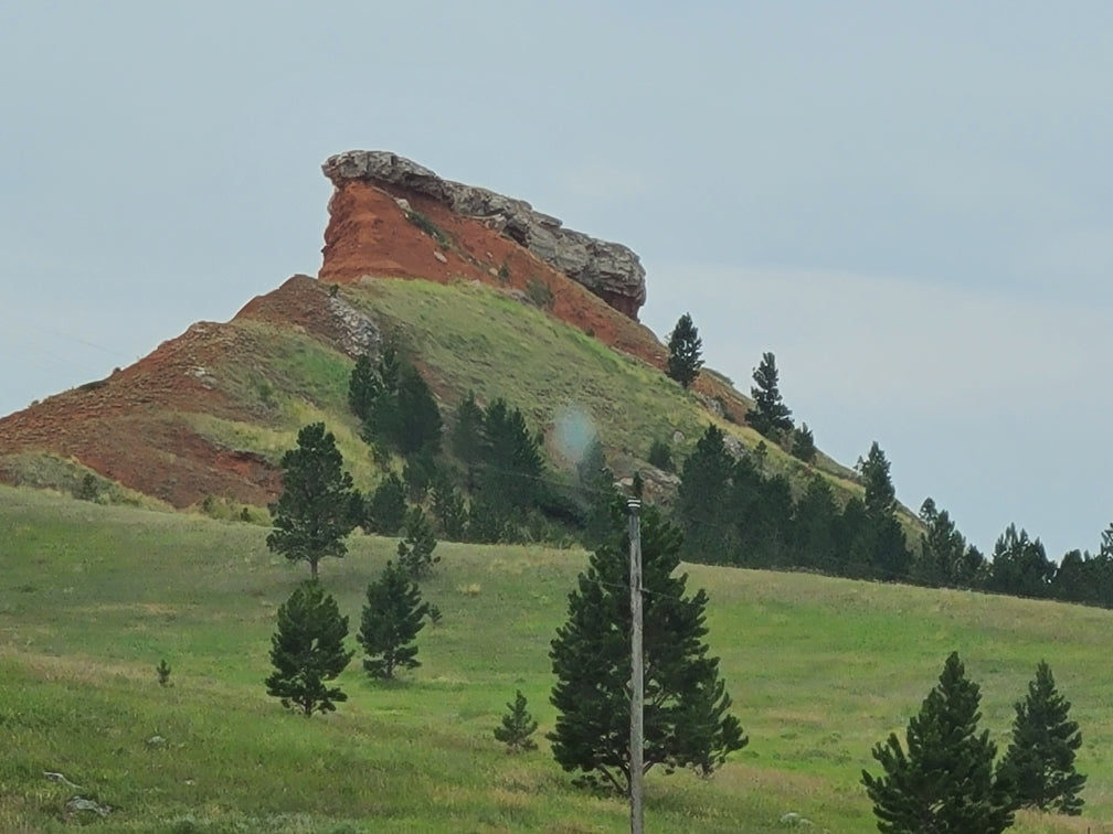 Scenic red rock butte & pine trees, perfect for an RV rental road trip.