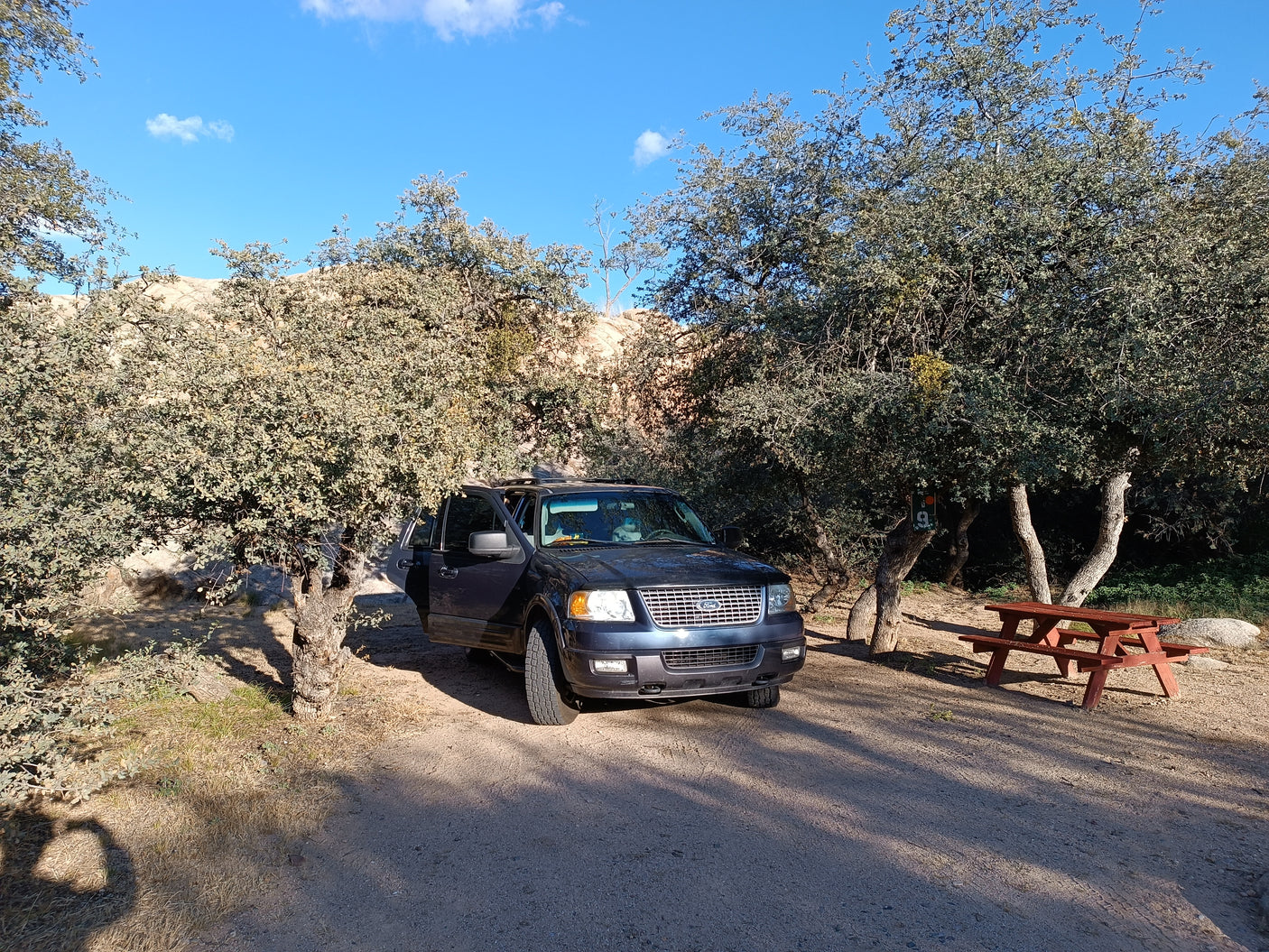 Dark Ford SUV at a sunny campsite with a picnic table, perfect for outdoor trips or your next RV rental adventure.