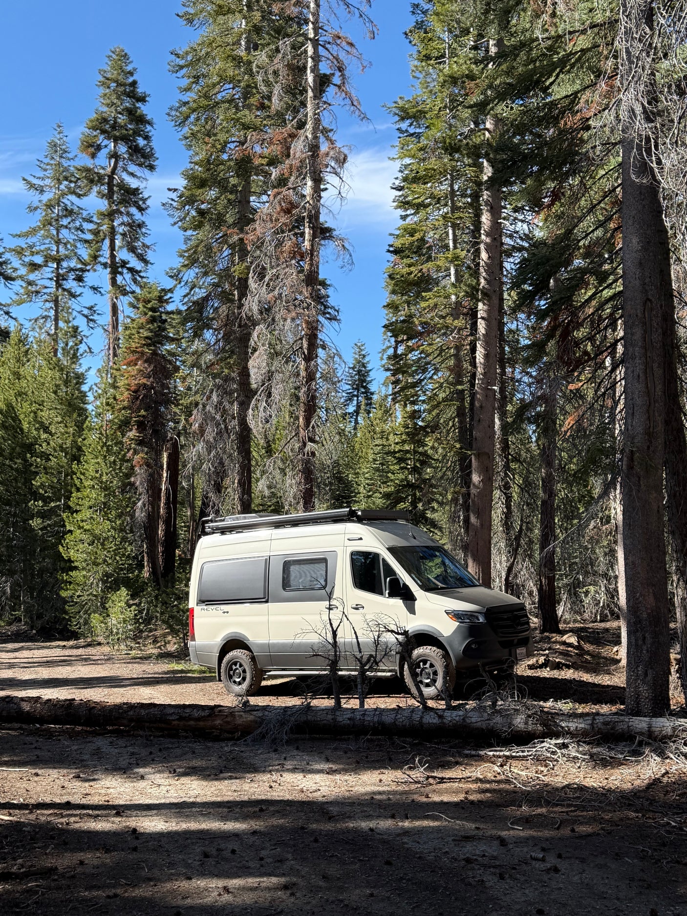 Adventure awaits! This rv rental camper van is parked in a serene forest, surrounded by tall pine trees.