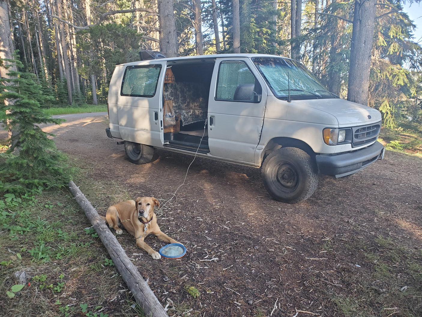Adventure-ready RV rental: a converted camper van parked in a sunny forest, with a relaxed yellow dog beside it.