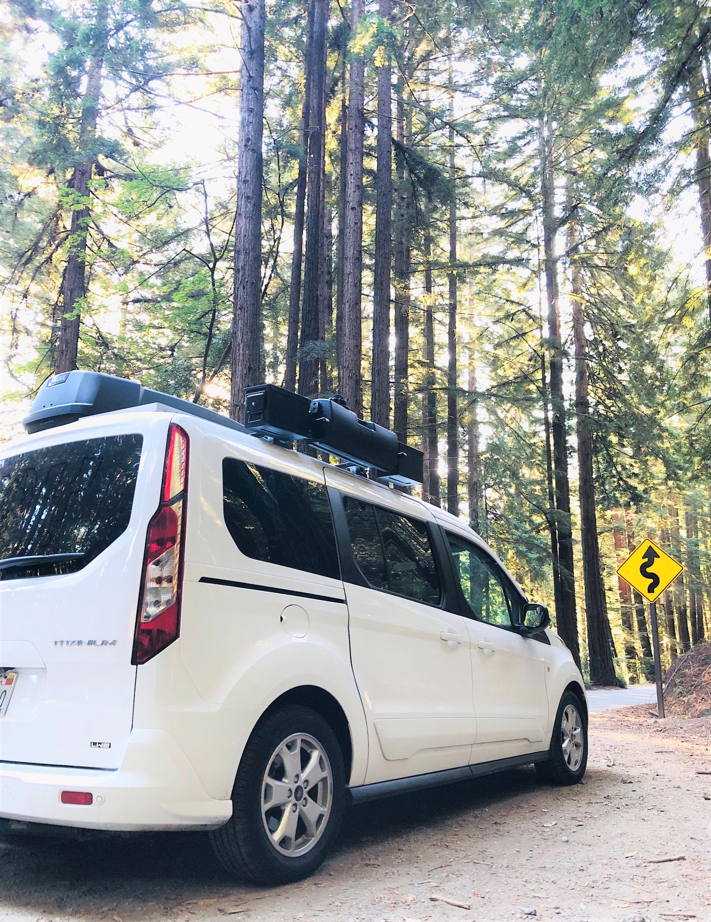 Perfect RV rental: A white van with roof storage parked in a sunlit redwood forest, a winding road sign nearby.