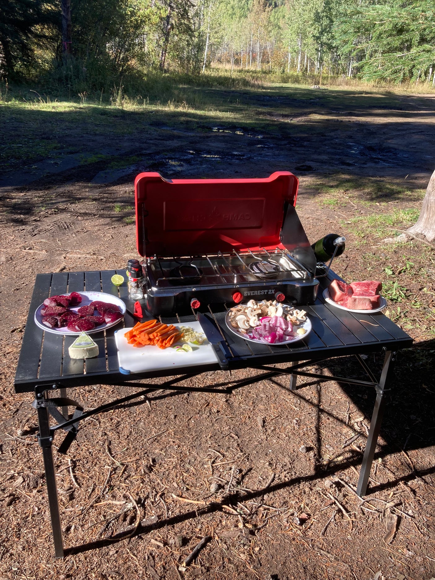 RV rental adventure: Cooking fresh steaks and veggies on a portable stove for an outdoor meal in nature.