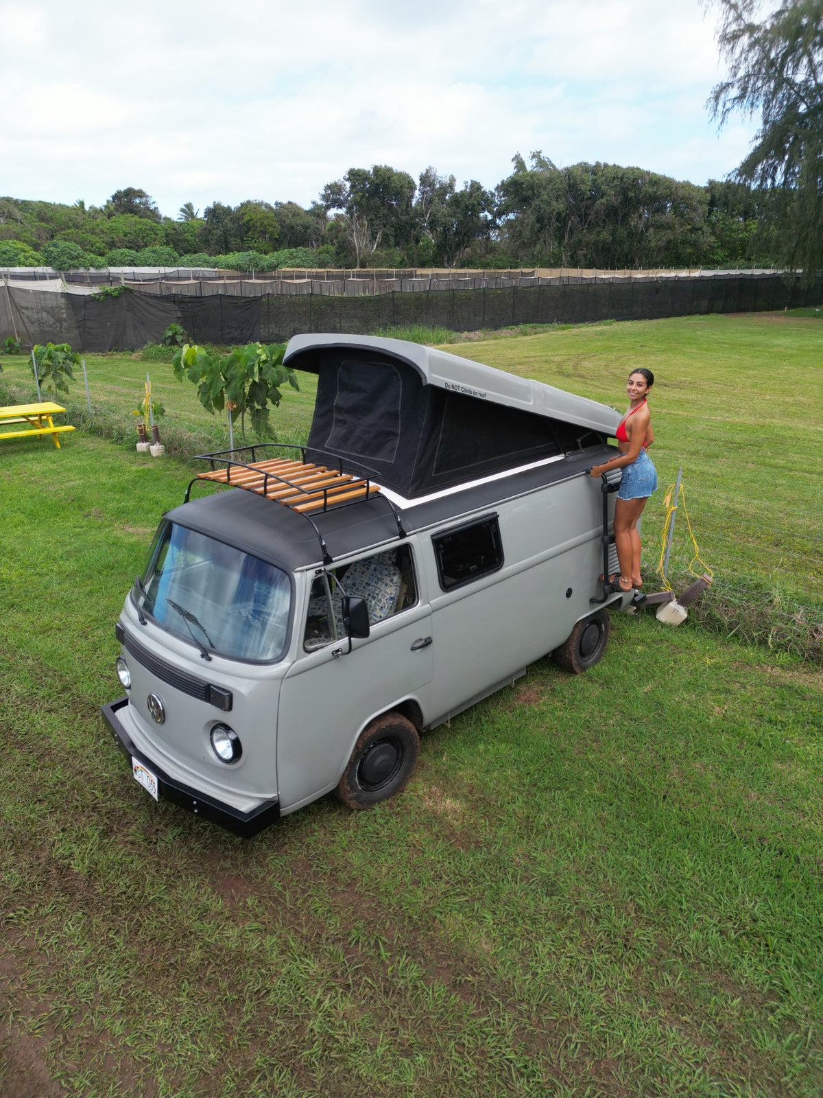 Woman with a vintage pop-top RV rental in a grassy field, ready for outdoor adventures. — photo 1