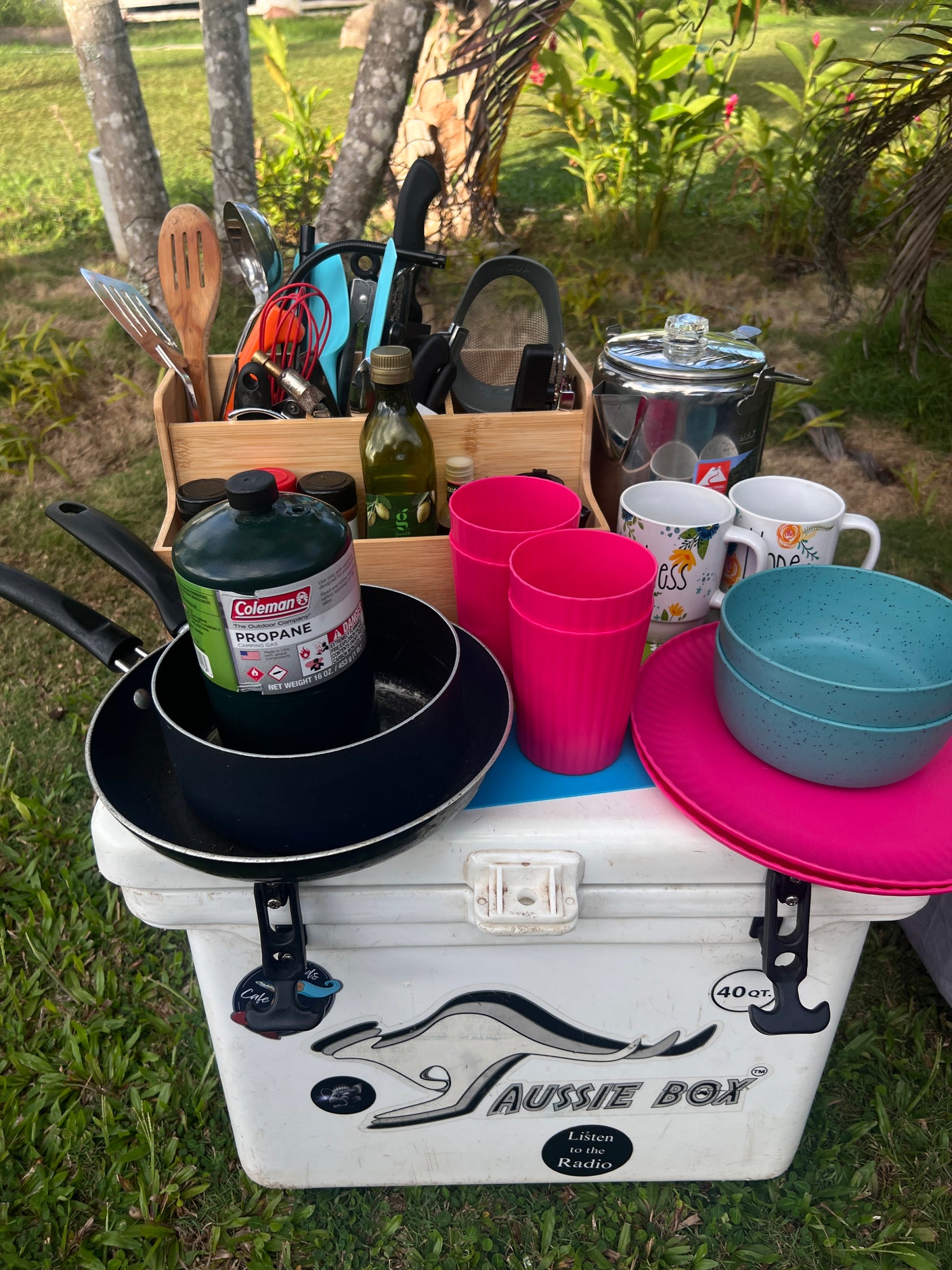 RV rental ready with essential camping kitchenware, including propane, pans, utensils, and a cooler for outdoor cooking setup.