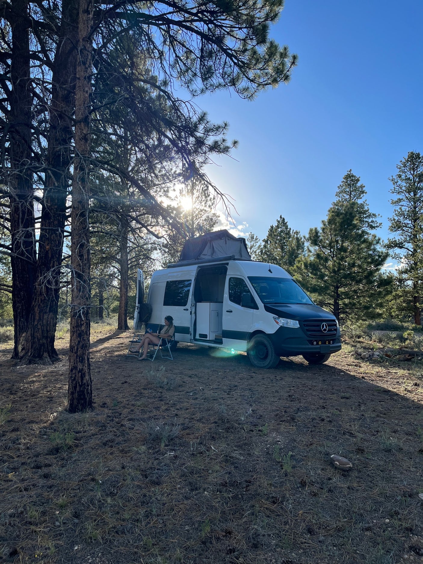 Relaxing outdoors in a sunny pine forest with an RV rental camper van.