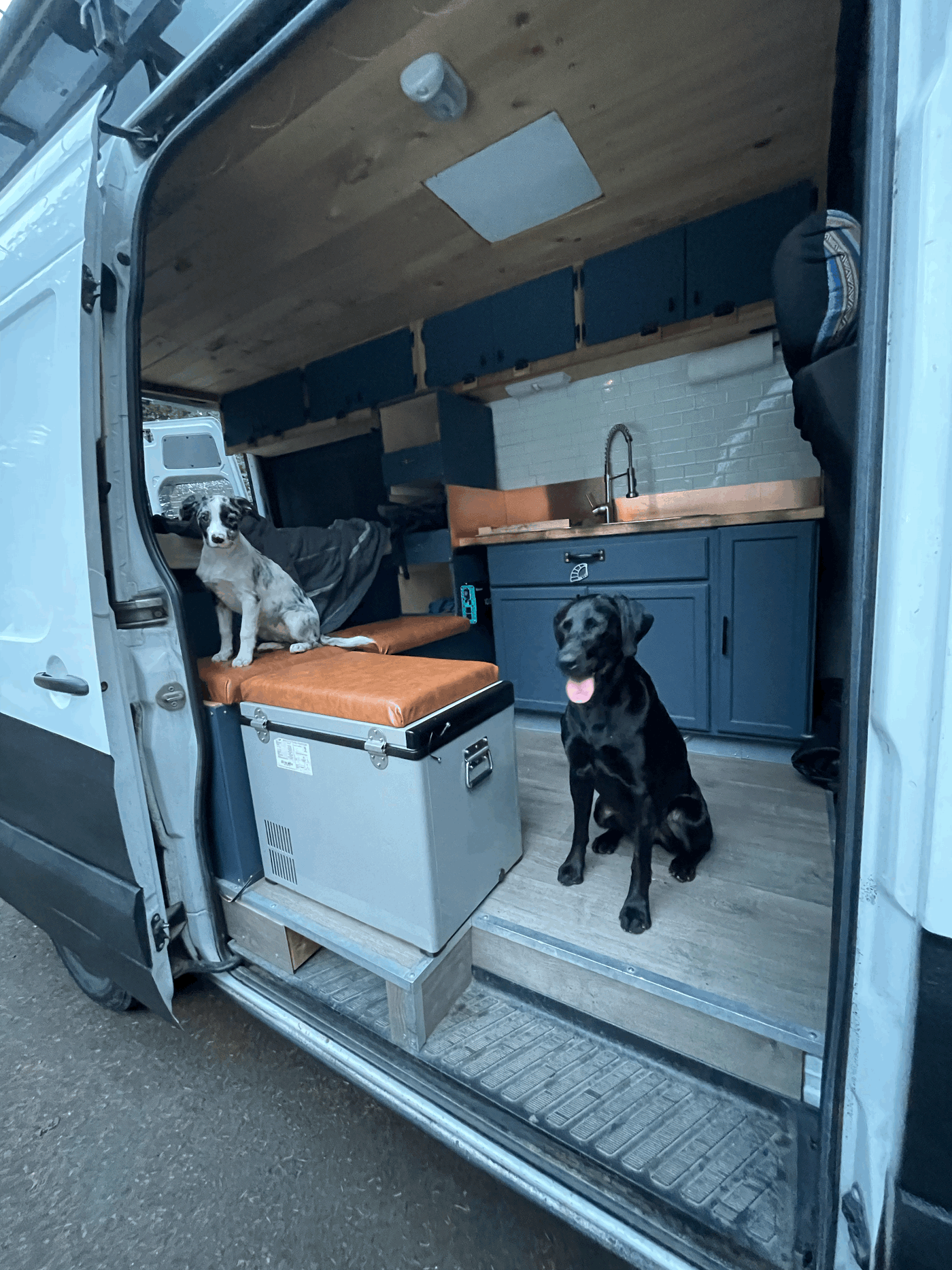 Jean Claude Damme Van - Cozy Off-Grid 4 Season Adventure Van! — photo 6