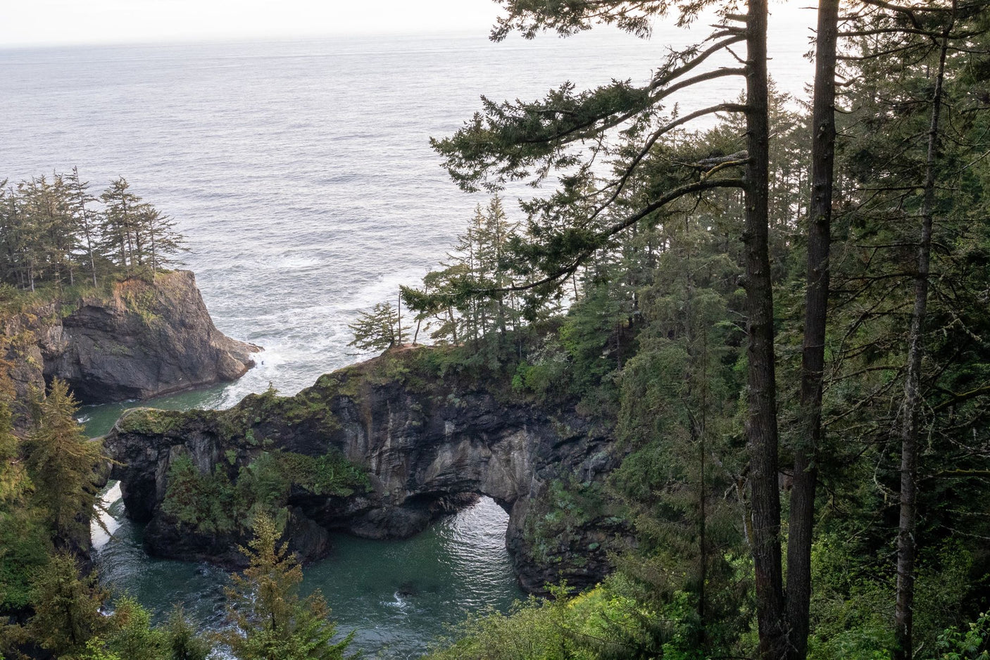 Explore stunning coastal scenery via RV rental: natural rock arch, cliffs, & forests meet the Pacific Ocean.