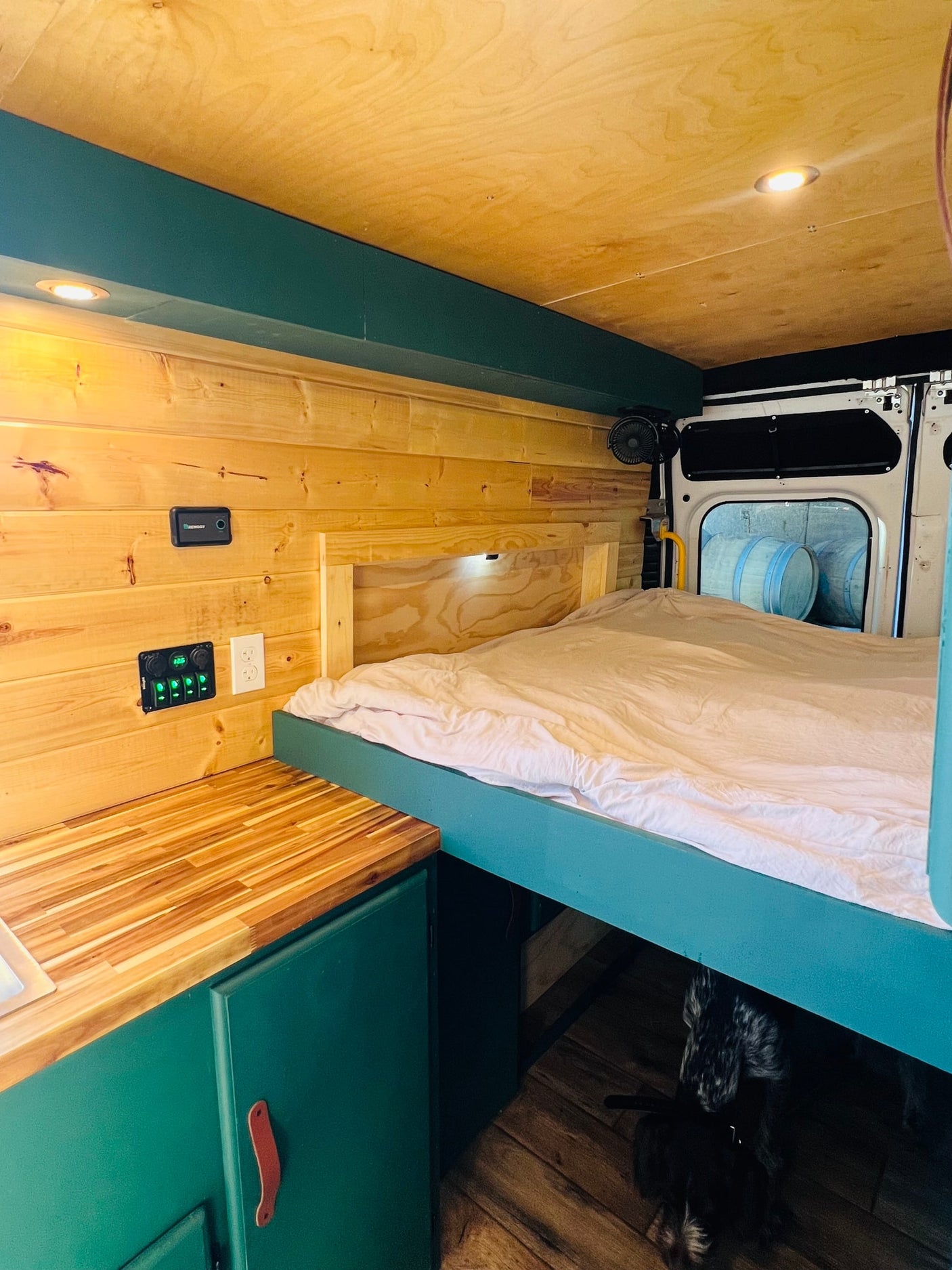Cozy RV rental interior featuring wooden walls, a comfy bed, kitchenette, and a dog napping below.