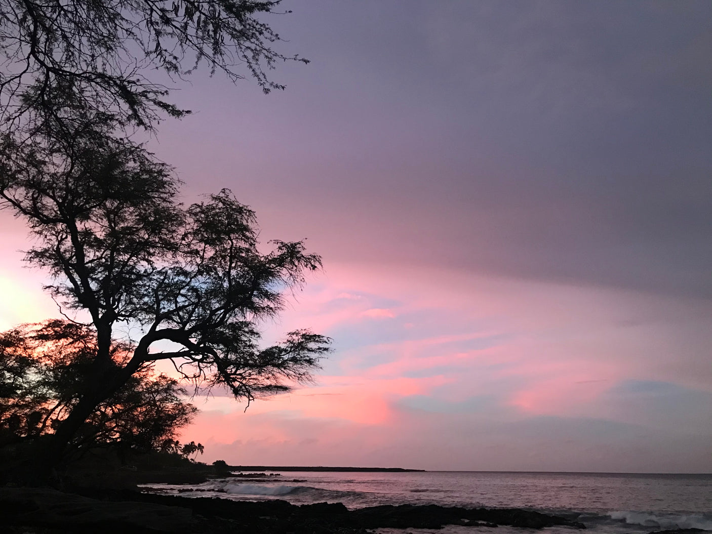 A vivid pink and purple sunset fills the sky over a rocky coast with silhouetted trees and ocean waves. Perfect RV rental trip view!