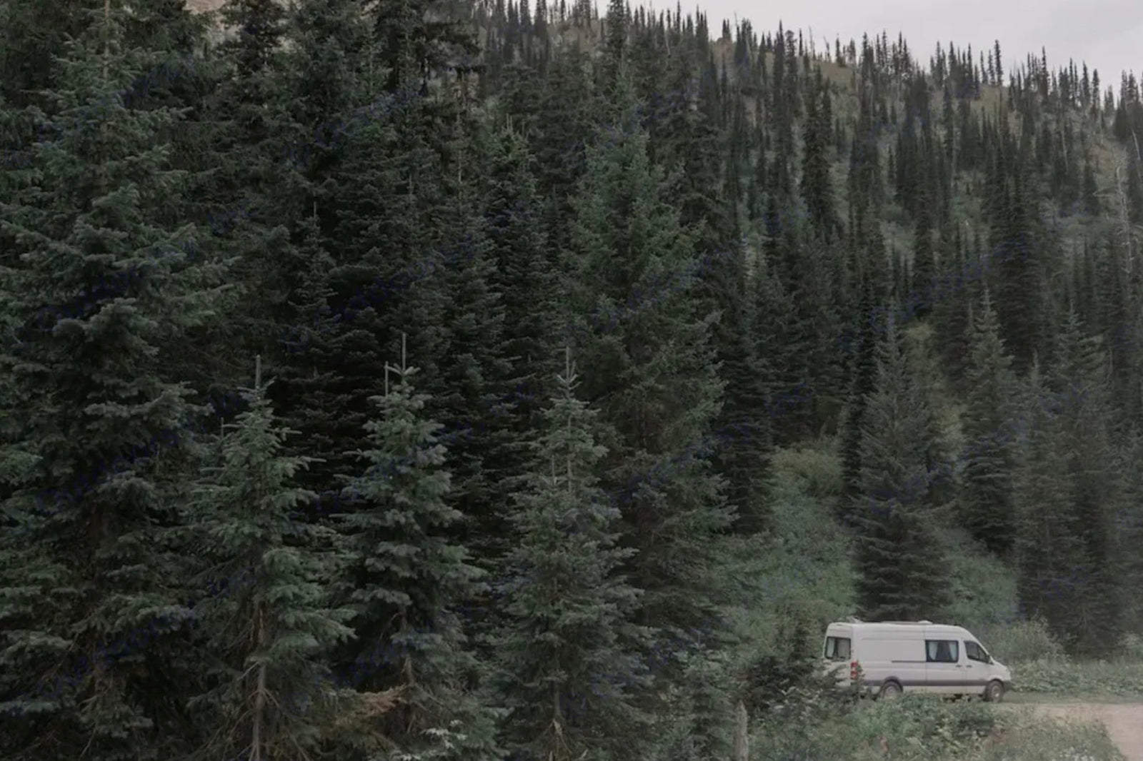 surrounded by forests and mountains. Plan your RV rental getaway.|Enjoying an RV rental adventure: A couple and their dogs relax