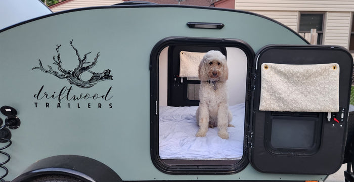 is ready for your rv rental adventure.|Perfect RV rental getaway: woman and dog enjoy a campfire meal beside a cool teardrop trailer in the woods.|Pet-friendly rv rental: Adorable dog sits in a light green Driftwood teardrop trailer