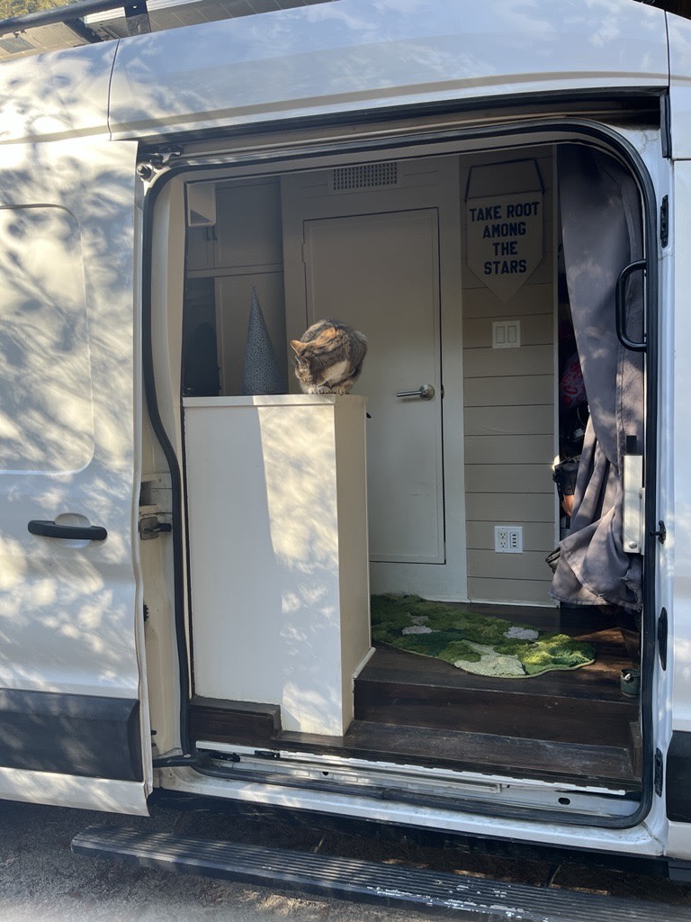 This cozy rv rental interior features a cat on the counter, a mossy rug, and a "TAKE ROOT AMONG THE STARS" sign.