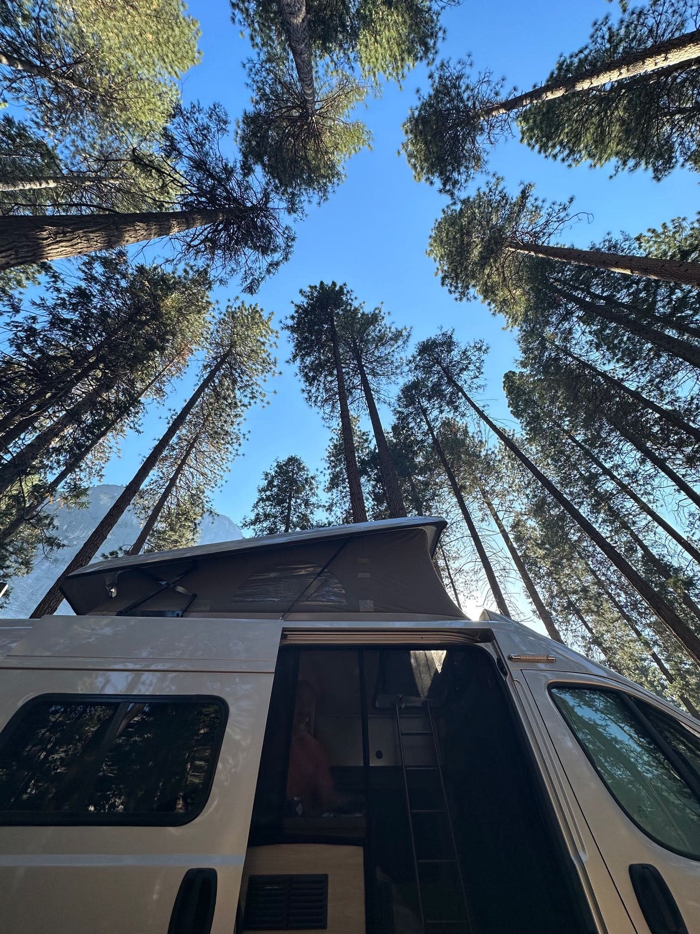 Explore nature in an RV rental! Tall pines tower over this camper van with its pop-top roof extended under a blue sky.
