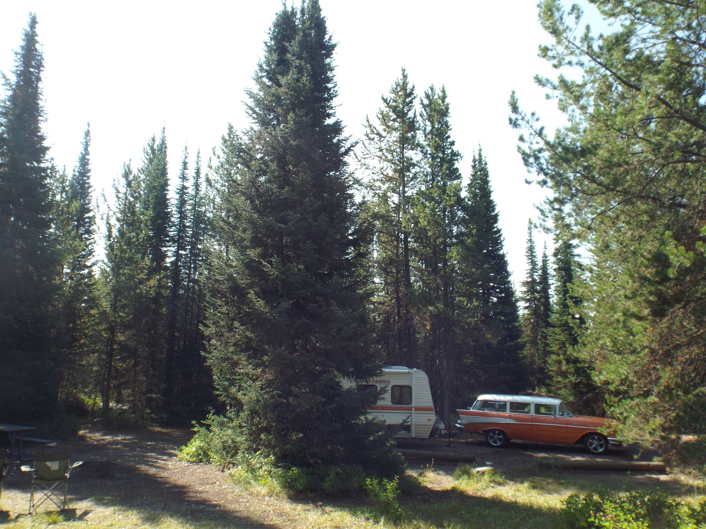 A vintage station wagon and RV rental parked at a serene forest campsite.