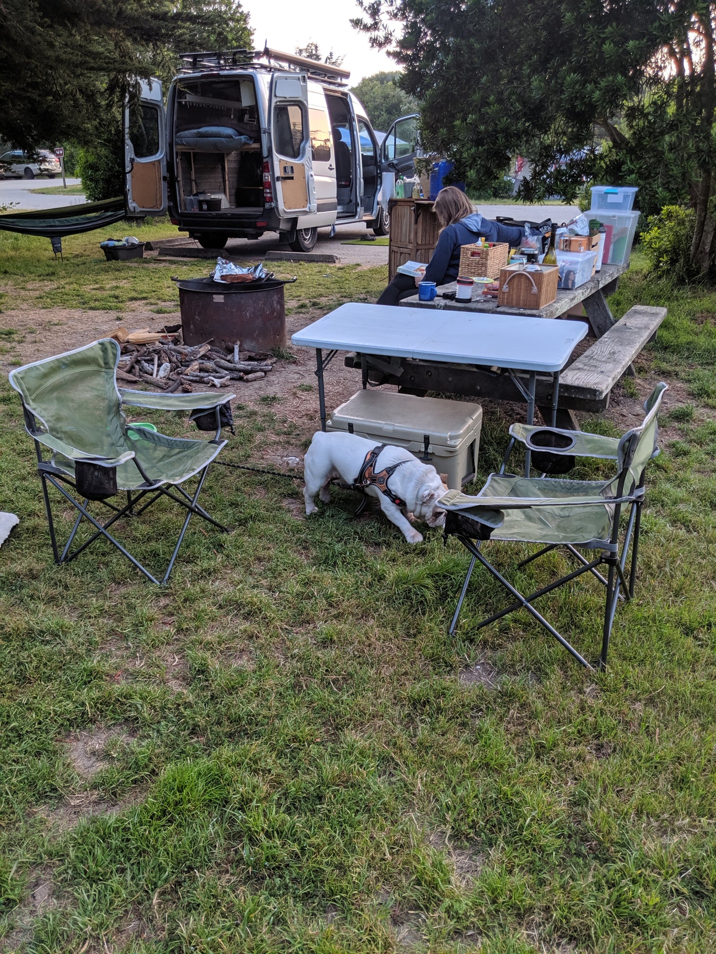 RV rental campsite with an open van, person reading at a picnic table, bulldog, and fire pit. Enjoying the outdoors.
