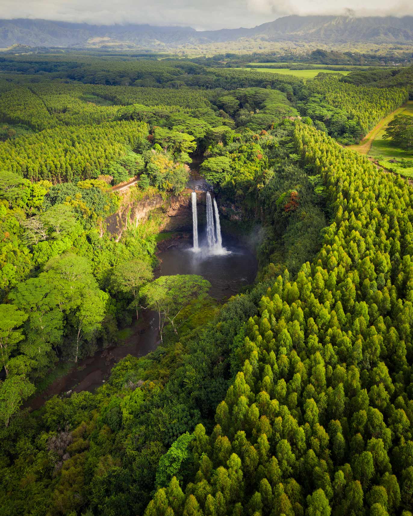 Aerial view of a stunning double waterfall plunging into a pool amidst vast green forests. Ideal for an RV rental trip.