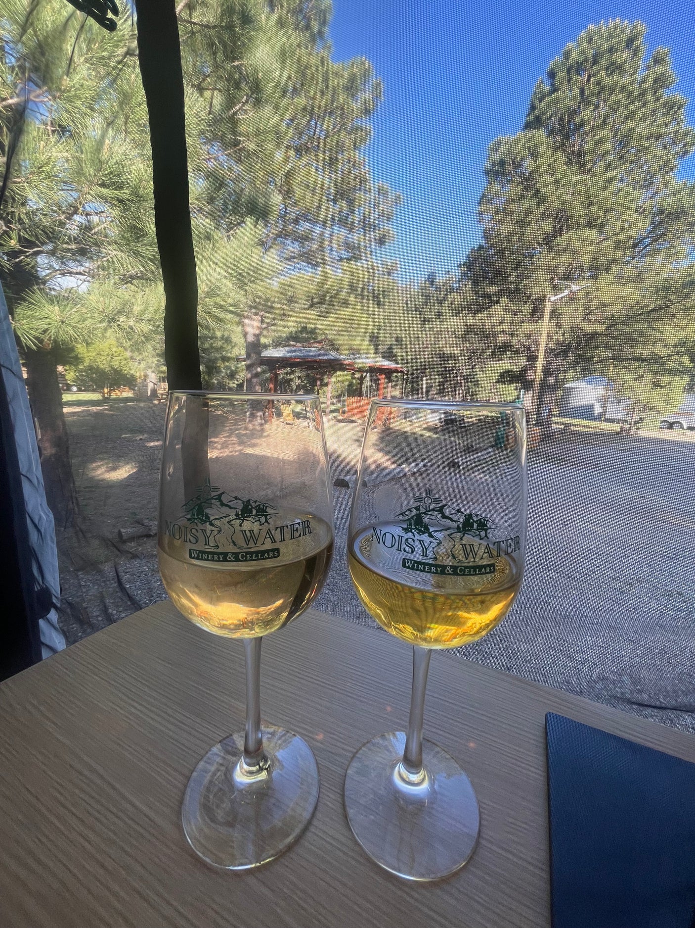 Sipping white wine from Noisy Water Winery, enjoying the serene outdoor view through our RV rental's screen.