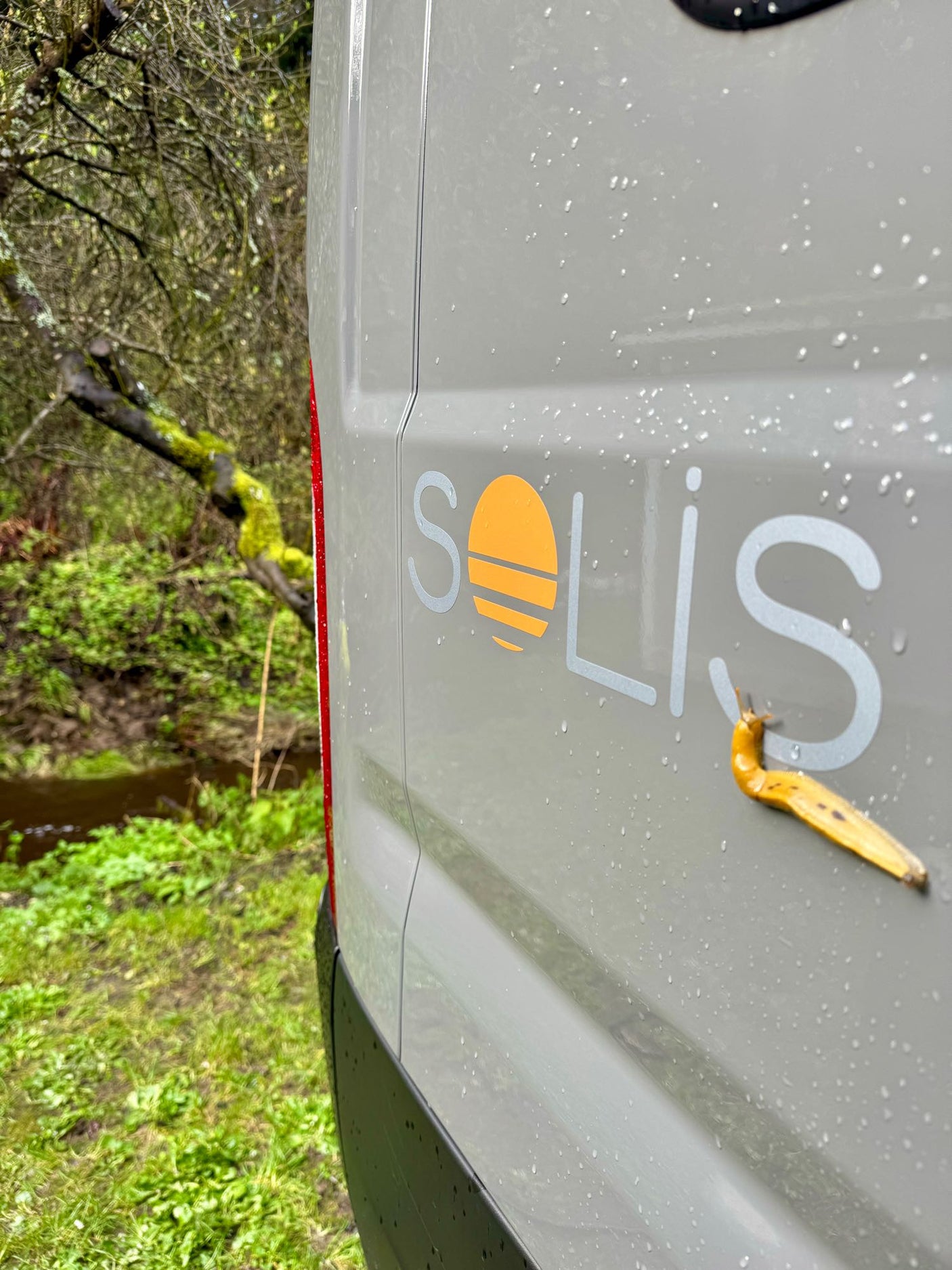 RV rental adventure: A yellow banana slug crawls on a grey Solis camper van near a forest stream.