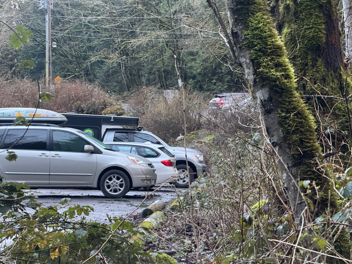 RV rental truck with a camper and other travel vehicles parked among mossy trees in a dense forest. Ideal for outdoor trips.