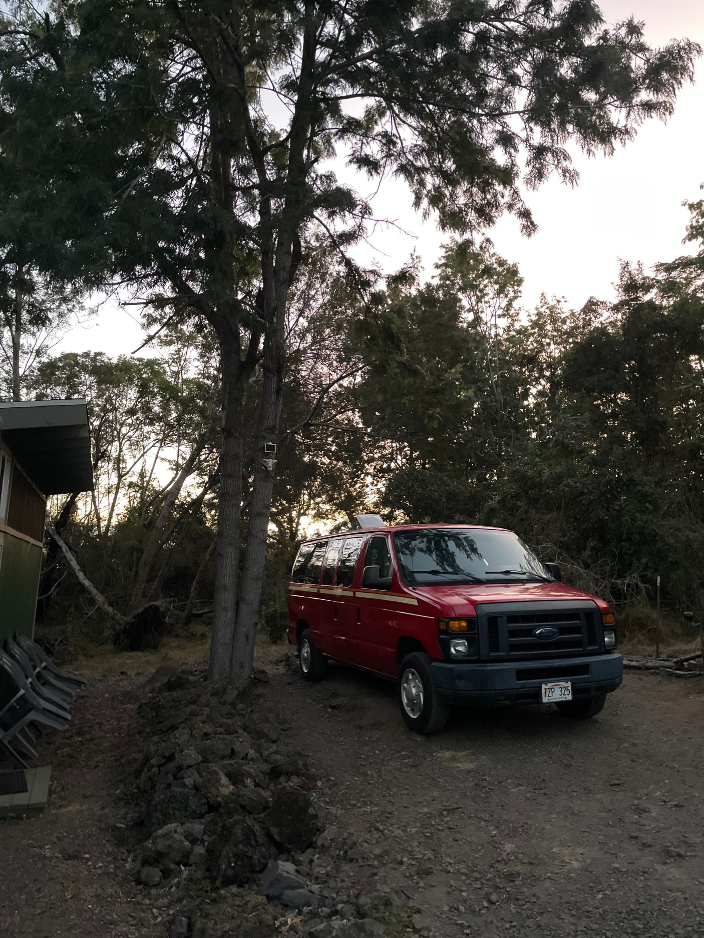 A red Ford van, resembling an RV rental, is parked among lush trees on a dirt path in nature.