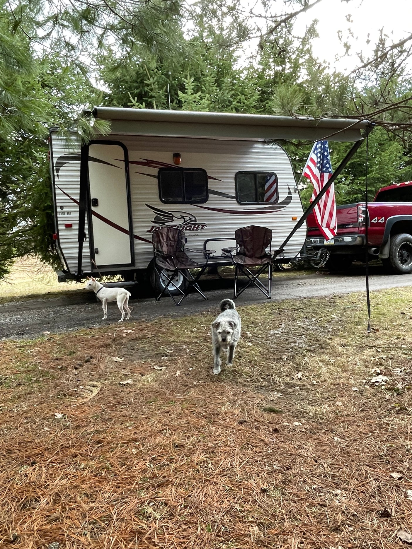 RV rental travel trailer campsite with two dogs, chairs, and a red truck.