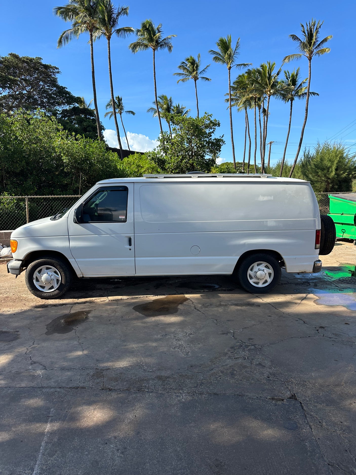 White Ford van, potentially an RV rental, parked on concrete with tall palm trees against a clear blue sky.