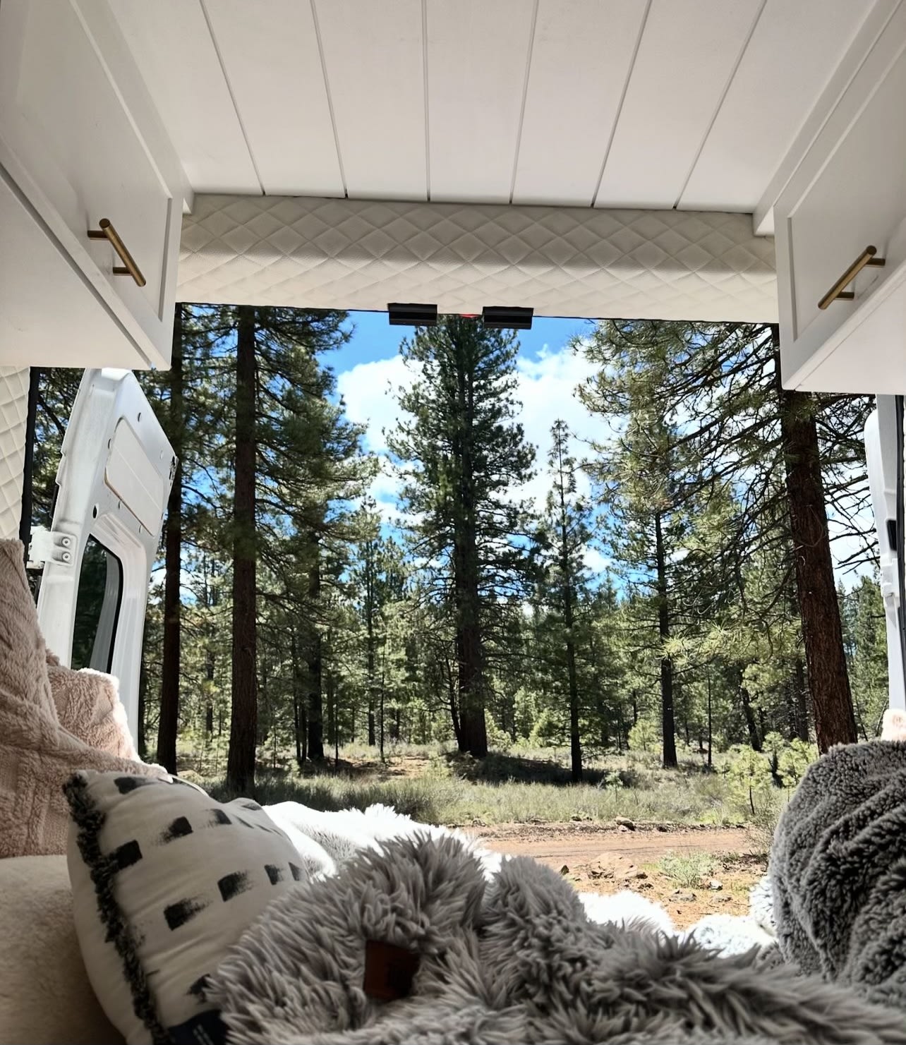 Inside an RV rental, fluffy blankets overlook a lush pine forest and dirt road from the open rear doors. — photo 3