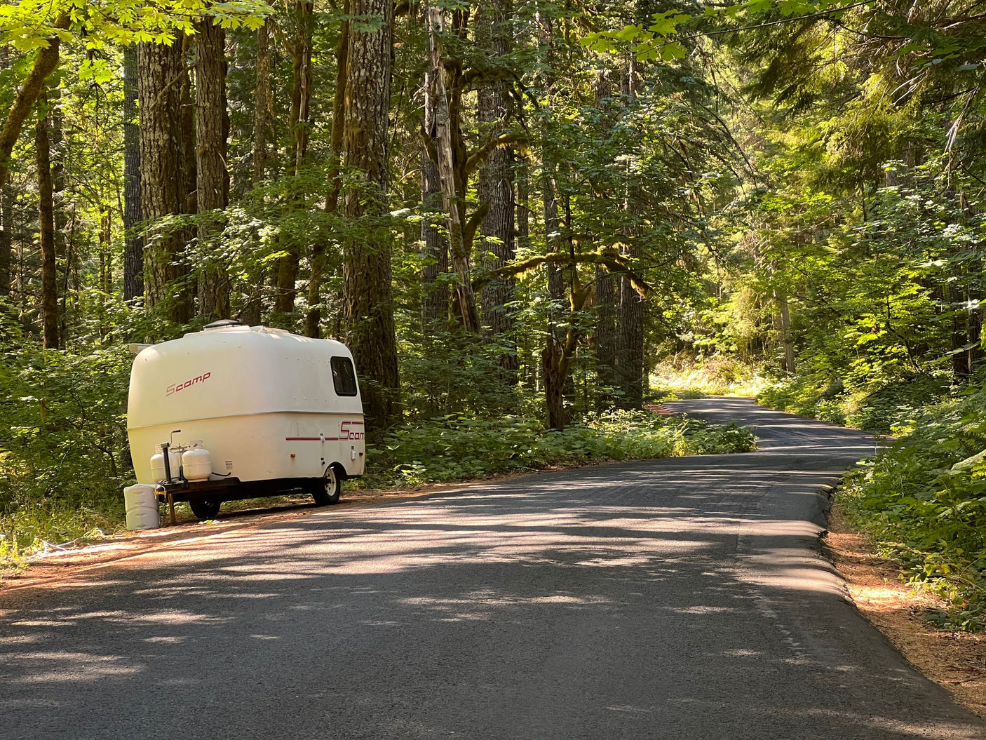 A white Scamp RV rental trailer is parked on the side of a quiet, sun-dappled forest road, ready for adventure.