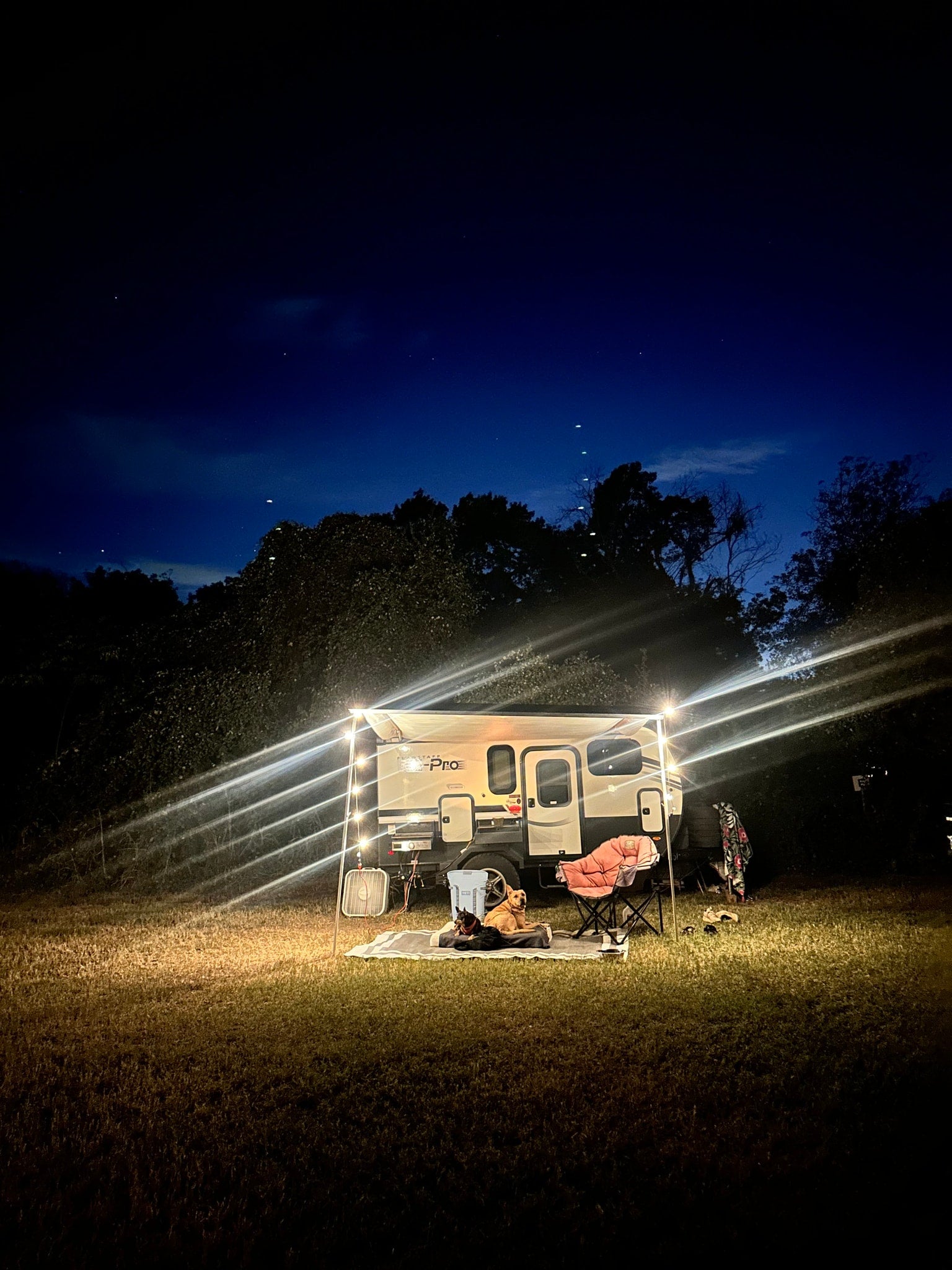 Cozy night camping in an RV rental with two dogs and string lights under a dark blue, starry sky. Relaxing outdoor setup.