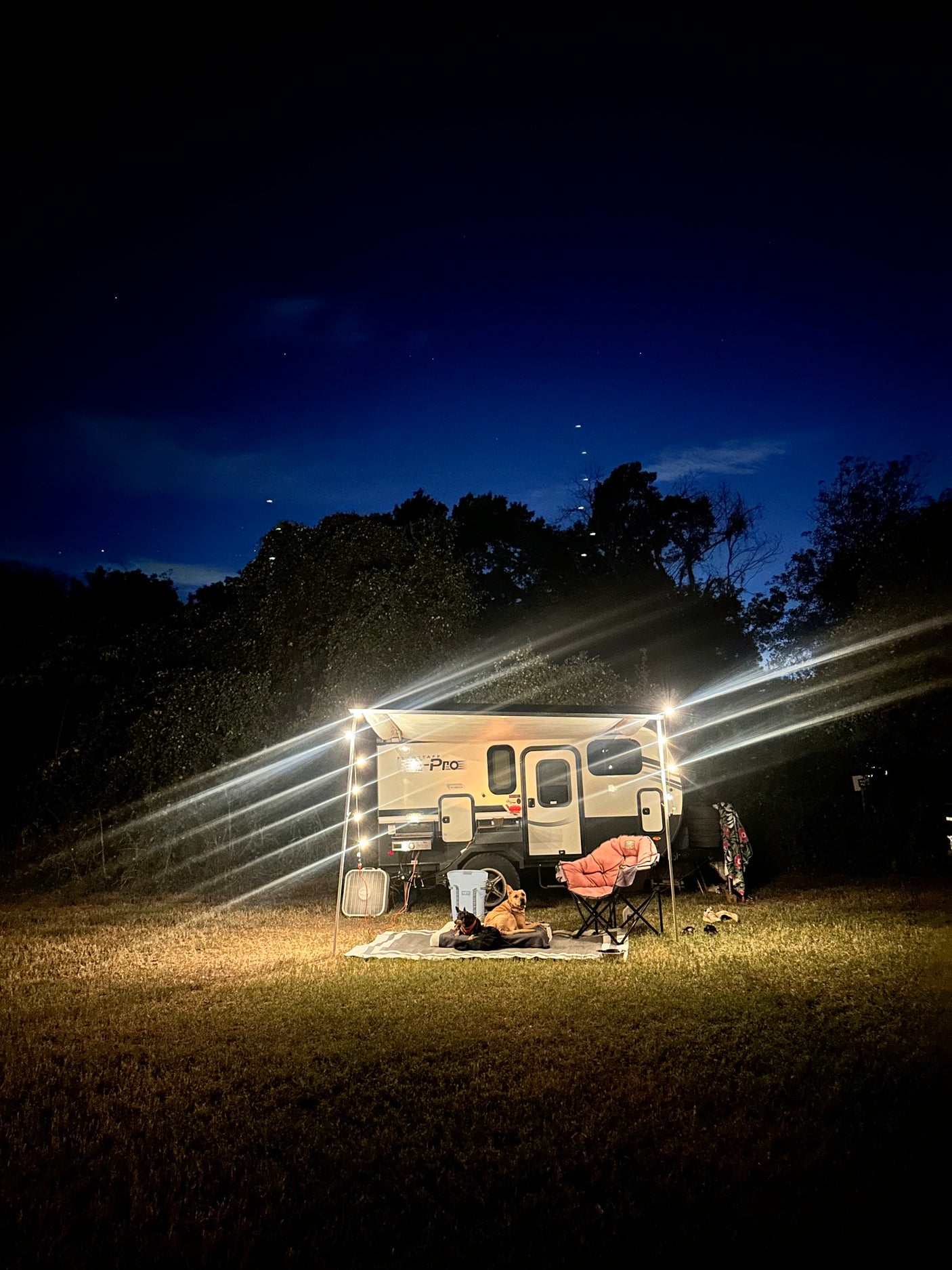Cozy night camping in an RV rental with two dogs and string lights under a dark blue, starry sky. Relaxing outdoor setup.
