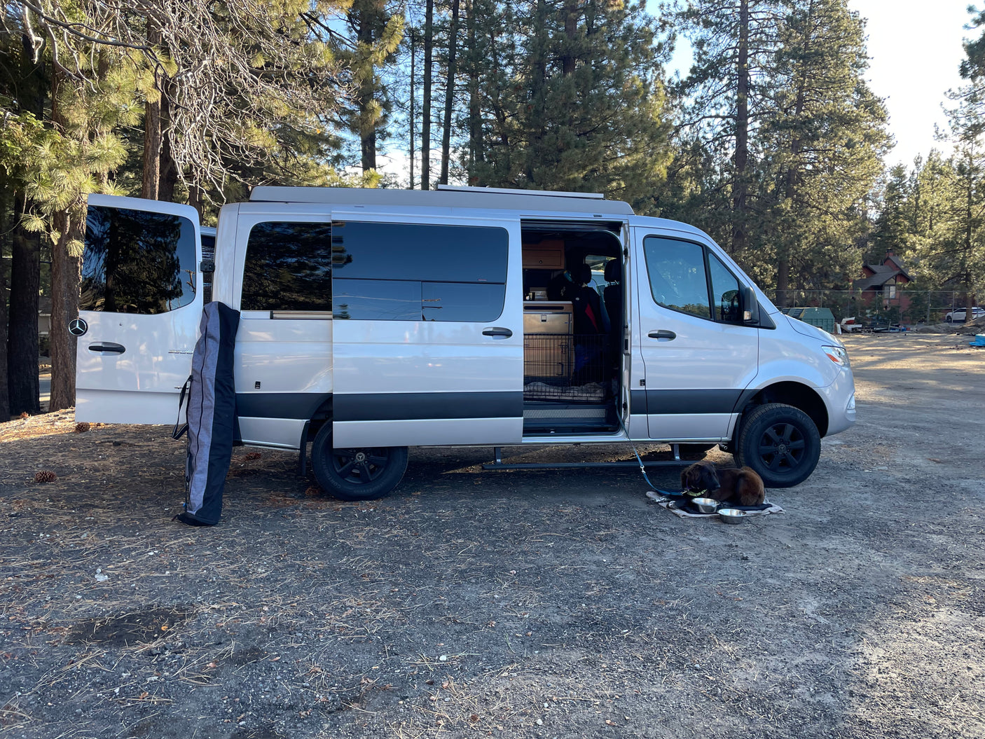White Sprinter camper van parked with doors open, two dogs resting outside. Great for an RV rental adventure in nature.