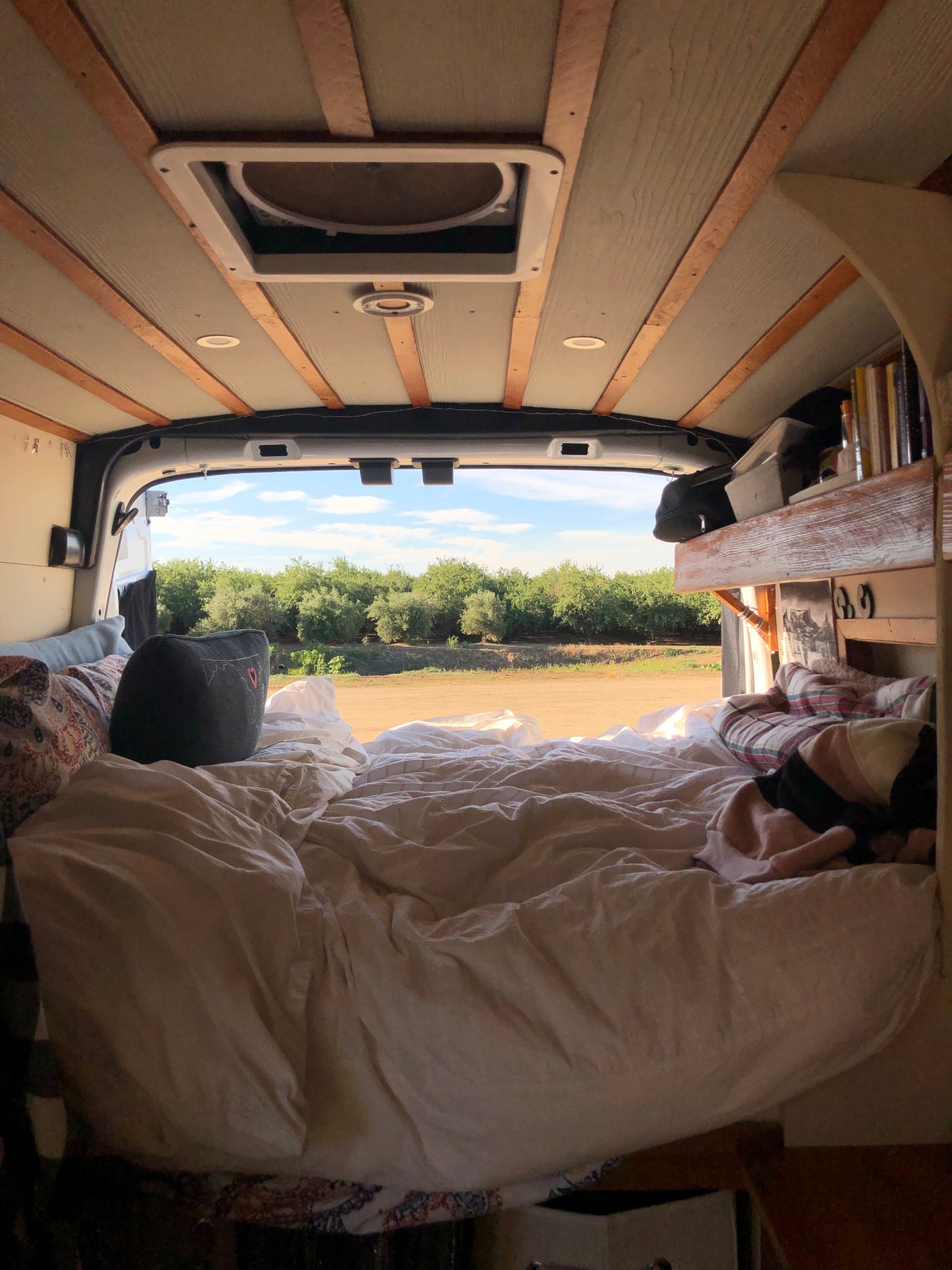 Cozy RV rental bed overlooking a serene nature view. Ideal for comfortable van life adventures.