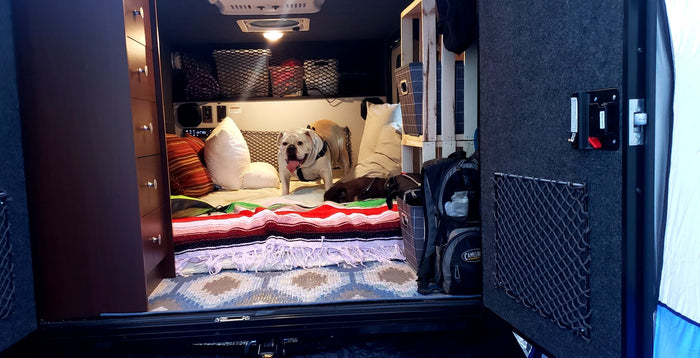 Cozy RV rental camper interior: a happy bulldog and a small dog on the bed, with ample storage.